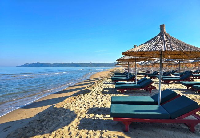 Apartment in Gjiri Lalzit - Olive Tree Apartment 290 Apartment in Gjiri Lalzit - Olive Tree Apartment 290