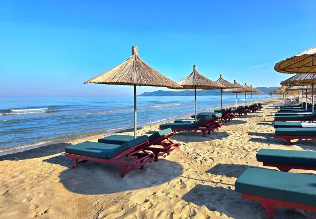 Apartment in Gjiri Lalzit - Olive Tree Apartment 290 Apartment in Gjiri Lalzit - Olive Tree Apartment 290